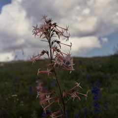 Colorado Western Slope